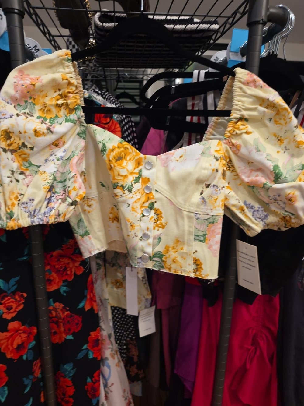 BNWT. For Love And Lemons Chamomile Floral Puff-Sleeve Crop Top